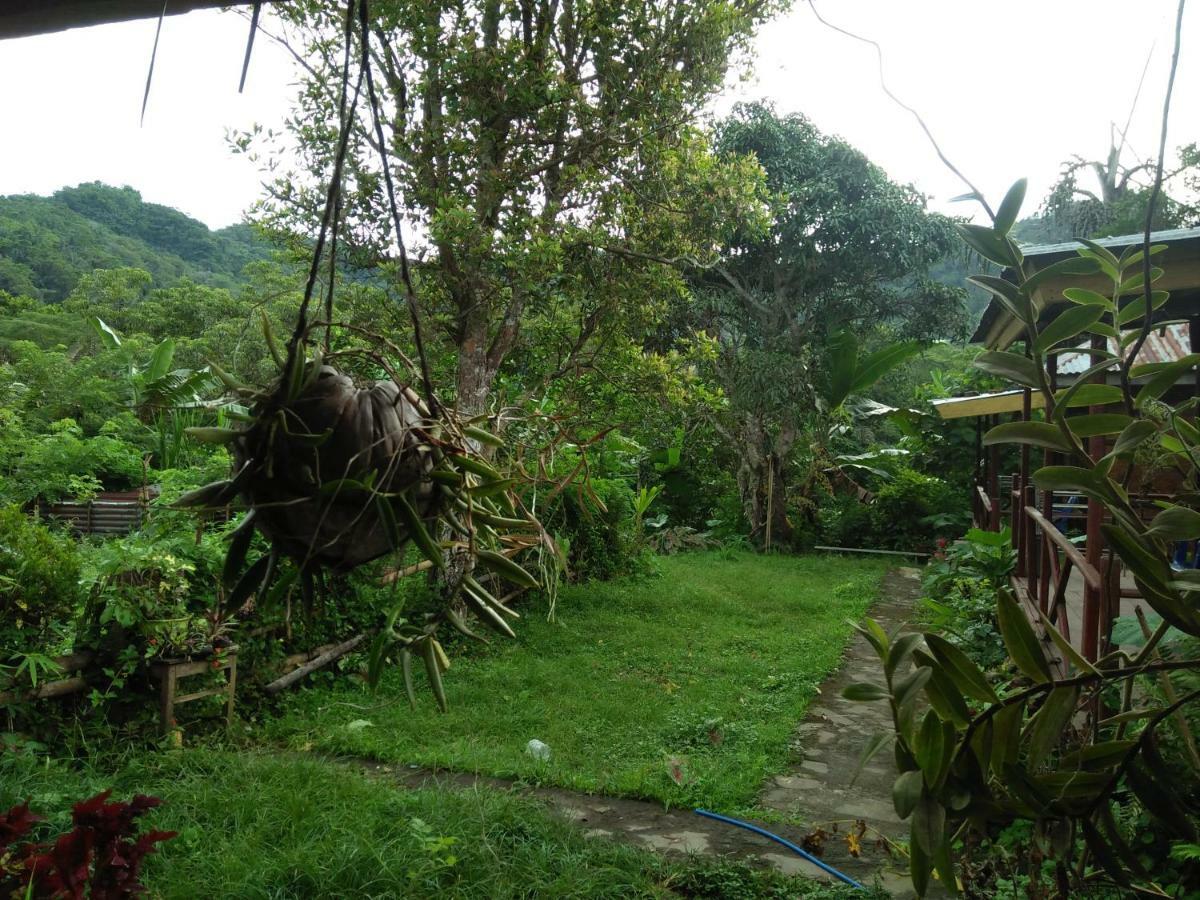 Palm Bungalow Hotel Kelimutu Exterior photo